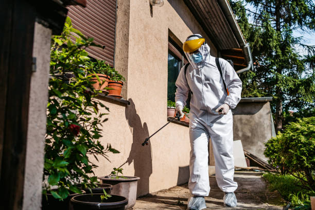 Best Pest Control for Businesses  in Meiners Oaks, CA
