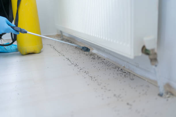 Best Exterminator Services  in Meiners Oaks, CA